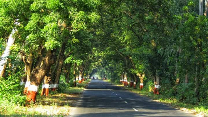 Travel Image 3