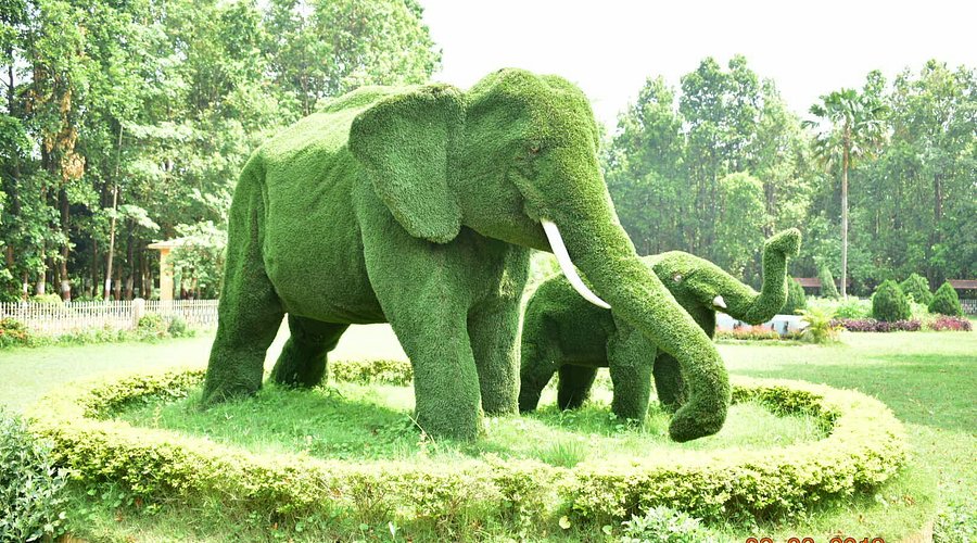  Ranchi