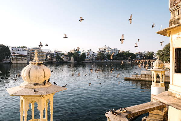 
									Udaipur